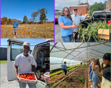 Editorial image for A Taste of Fall in Culpeper