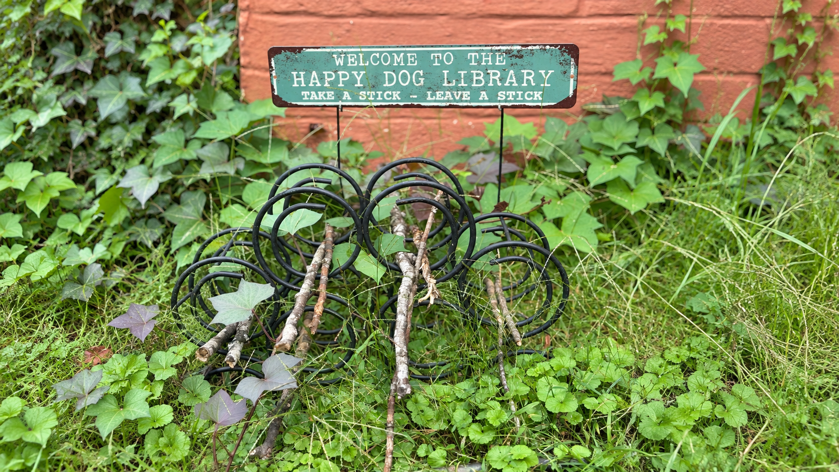 No Library Card Required