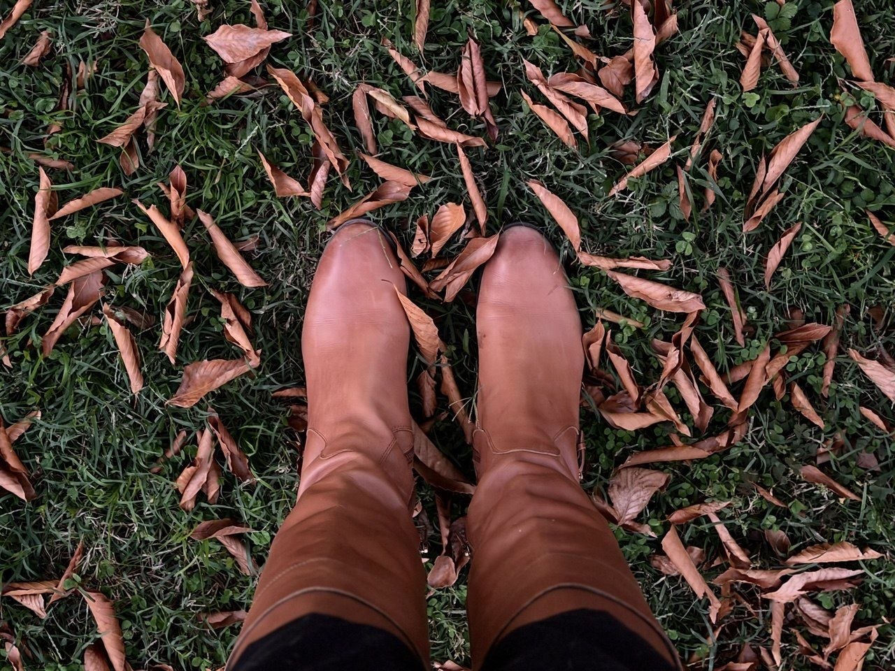 Brown boots among fallen autumn leaves.
