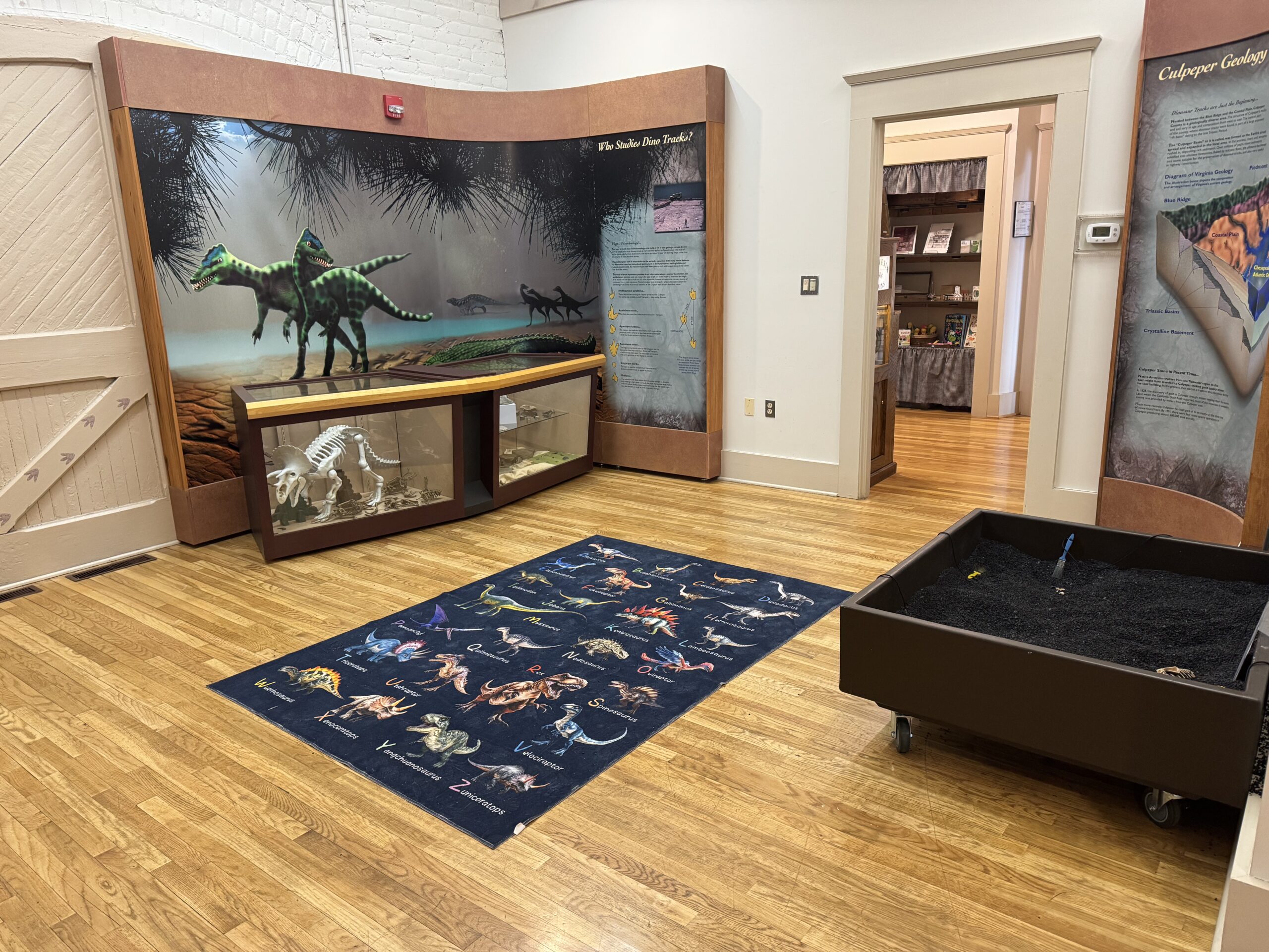 Inside the Triassic Gallery at the Museum of Culpeper History
